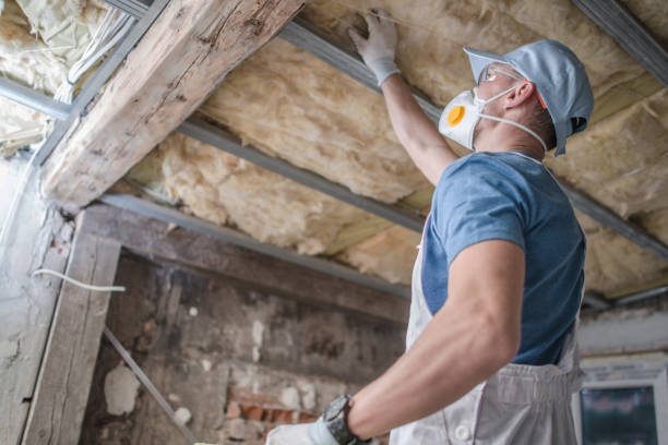 Best Best Insulation Companies  in Circleville, OH
