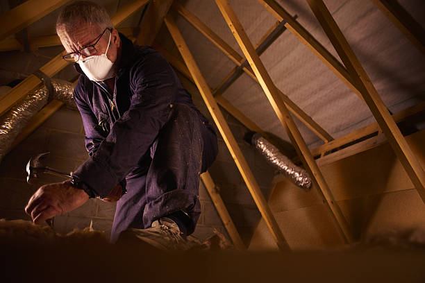 Best Insulation Repair Services  in Circleville, OH